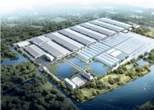 浙江千噸級南美白對蝦工廠化養殖場 融合兩大全球先進技術，引領產業新篇章