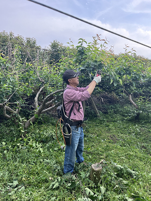 2024年浙江省“百姓學習之星” | 施星仁 扎根技術服務的“鄉土工匠”